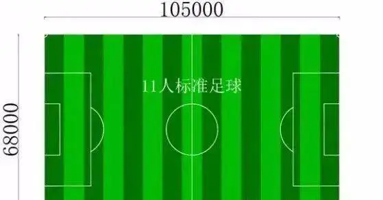 为什么篮球后卫需要特别的体能训练_0